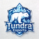 Tundra Esports 战队官方队标图标